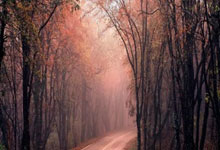 有没有定制包装袋的群啊,包装袋定制宣传语